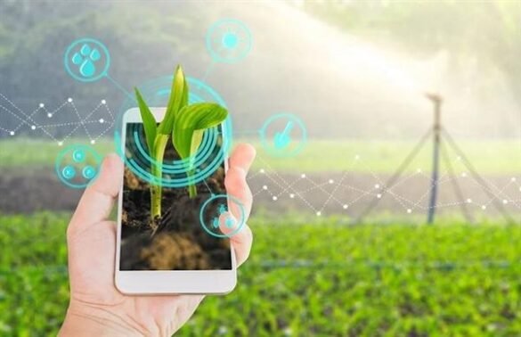 أهمية الزراعة الذكية في مواجهة التغيرات المناخية