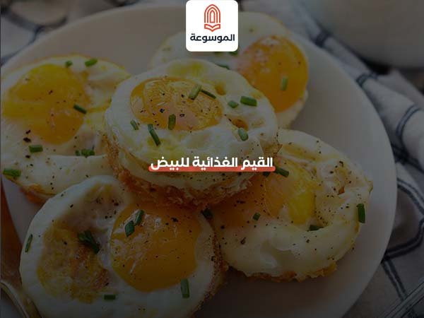 القيم الغذائية للبيض