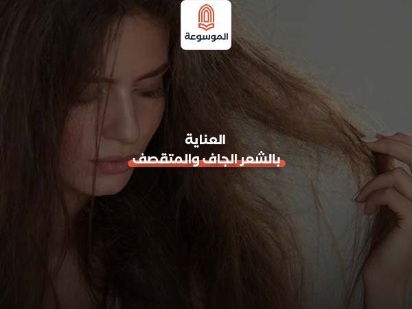 العناية بالشعر الجاف والمتقصف