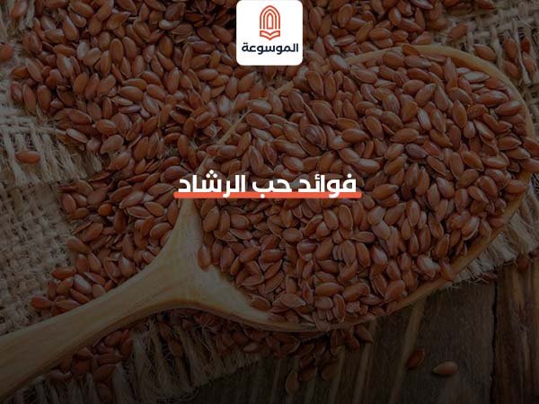 فوائد حب الرشاد