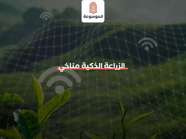 الزراعة الذكية مناخياً